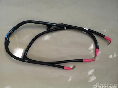 BMW 12428577243 X4 (F26) 2015 Harnais pour démarreur - Image 1