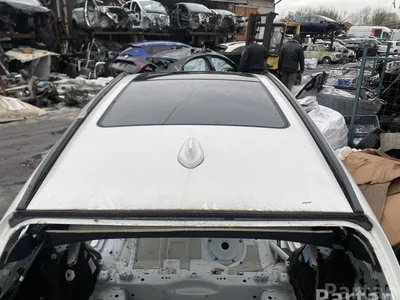 BMW X3 (F97) 2019 Toit - Image 1