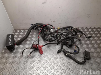 Tesla 1009096-72, 1009096-02-M / 100909672, 100909602M MODEL S 2015 Cables de salón - Imagen 1