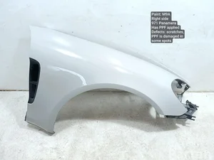 Porsche 971821102Y, 971.854.896, 971.805.626 / 971821102Y, 971854896, 971805626 PANAMERA (971) 2018 Kotflügel rechte Seite