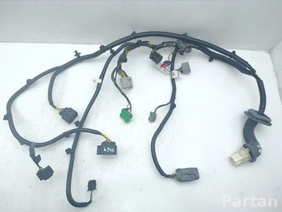 Aston Martin BG43-14631-BA / BG4314631BA VIRAGE Volante 2012 Kable wnętrza Drzwi - Zdjęcie 1