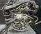 Volkswagen DPBC Caddy V 2021 Motor completo - Imagen 3