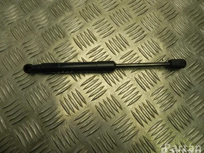 Renault 654700008R SCÉNIC III (JZ0/1_) 2014 Ressort à gaz - Image 1