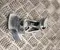 Volkswagen 7H0711051K TRANSPORTER V Box (7HA, 7HH, 7EA, 7EH) 2015 Other automatic gearbox parts - Image 3