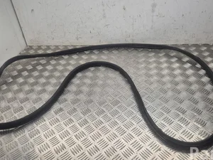 Nissan Ariya 2024 Door Seal Left Front