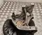 Volkswagen 3WA505435B PASSAT B9 Variant (CJ5) 2024 Wheel Bearing Housing Left Rear - Image 2