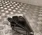 BYD TA70-2001500AR-Z1, 20250709A / TA702001500ARZ1, 20250709A SEALION 7 2026 Engine Mounting - Image 3