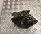 Gebrauchtes Original Ford USA MUSTANG Coupe 2016 Bremssattel hinten links - Bild 2