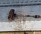 Ford JX673B436CAD Focus IV (C519) estate 2019 Drive Shaft Right Front - Image 1
