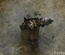 TOYOTA RAV 4 II (_A2_) 2003 Rear axle differential