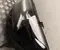Dacia 260603515R BIGSTER 2025 Headlight Left - Image 2