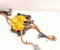 Ford USA NL38-14A099-DA, Z96714121, 35824121 / NL3814A099DA, Z96714121, 35824121 F-150 LIGHTNING Crew Cab Pickup 2025 Kabelsatz für Batterie - Bild 2