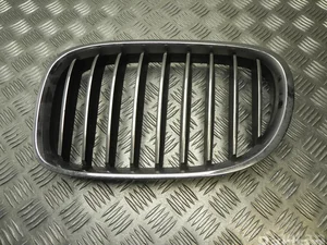 BMW 7295297 7 (F01, F02, F03, F04) 2014 Grillades