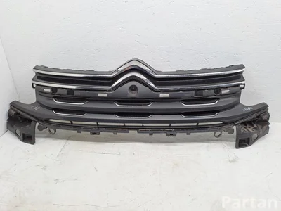 Citroën 9825347677 C5 III Break (TD_) 2019 Grotelės - Paveiksliukas 1