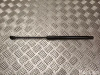 Renault 904526066R MEGANE E 2023 Gas Spring