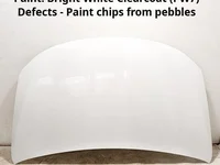 Chrysler 68495568AA Pacifica 2021 Gaubtas