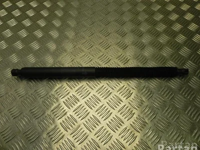 BMW 7497482 X3 (G01) 2018 Ressort à gaz - Image 1