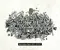 Mercedes-Benz GLS (X167) 2021 Bolt - Image 1
