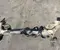 Toyota 42110K0030 Yaris P210 2024 rear axle beam - Image 3