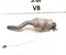 Jaguar 8W83-5E212-AD, 680367 / 8W835E212AD, 680367 XK kupė (X150) 2013 Catalizador - Imagen 1