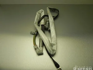 BMW 30317952R X5 (E53) 2005 Airbag de tête