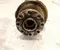 Land Rover G4D3-6A303-BA, 1023756 / G4D36A303BA, 1023756 Defender Station Wagon (L663) 2022 Kurbelwelle - Bild 3
