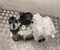 Tesla 1523007-00-F, 1613703-00-B, 1648071-00-A / 152300700F, 161370300B, 164807100A MODEL 3 2025 Zbiorniczek wyrównawczy płynu chłodzącego - Obraz 2