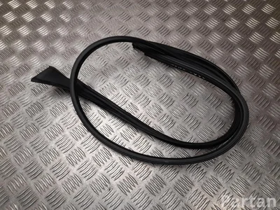 Polestar 80008111 4 2025 Durų stiklo sandariklis kairė - Paveiksliukas 1