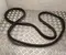 Toyota PRIUS (_W6_) 2024 Door Seal - Image 1