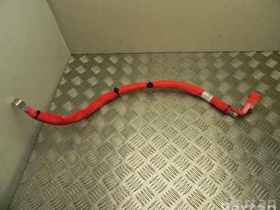 BMW 6839821 X3 (G01) 2018 Câbles de batterie - Image 1