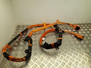 BMW 7619781 7 (G11, G12) 2017 Harnais