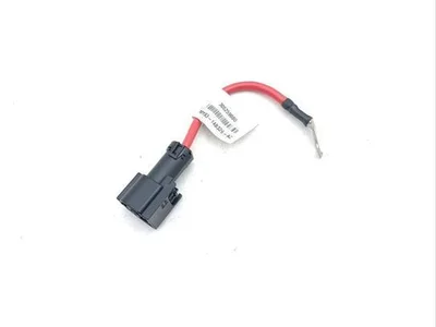 Aston Martin MY83-14B326-AC, 305259000 / MY8314B326AC, 305259000 DBX 2021 Kabelsatz für Batterie - Bild 1