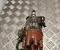 Mercedes-Benz 0231401001, 1235522061 S-CLASS Saloon (W108, W109) 1971 Distributor, ignition - Image 2