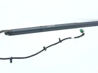 Mercedes-Benz A2978900100 EQS (V297) 2022 Gasfeder