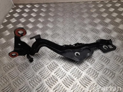 Ford USA LJ8B-R16C964-AE / LJ8BR16C964AE Mustang Mach-E 2022 Zawias, pokrywa komory silnika - Zdjęcie 1