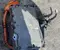 Gebrauchtes Original Smart 296G99047R FORFOUR Schrägheck (453) 2022 Wechselrichter Spannungswandler - Bild 1