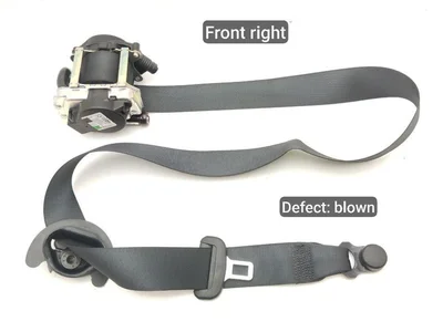 Porsche 9J1857706, 9J1857706G, 0589-P1-0021 / 9J1857706, 9J1857706G, 0589P10021 Taycan 2021 Ceinture de sécurité Right Front - Image 1