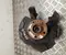 Audi A1 Sportback 2020 Wheel Bearing Housing Right Front - Image 1
