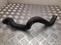 Ford USA L1M3-9K308-BC / L1M39K308BC EXPLORER (U6_) 2020 Wąż płynu chłodzącego