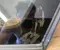 Ford L1TBA29750AD ; AS3 / L1TBA29750AD, AS3 Puma 2025 Side Body Glass Right Rear - Image 3