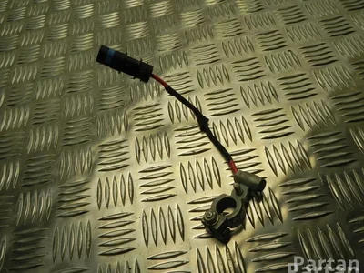 BMW 9189536 X5 (F15, F85) 2014 Câbles de batterie - Image 1