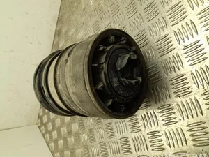 Mercedes-Benz A2973203501 EQE V295 2023 Ressort à gaz