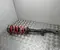 Audi 8W0031AA A4 Avant (8W5, B9) 2016 suspension strut, complete - Image 1