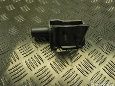 Renault ES71 ZOE (BFM_) 2022 Charnière de porte - Image 1