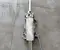 RAM 68254102AB 1500 CLASSIC Crew Cab Pickup (DS) 2020 Steering column Manually adjustment - Image 3