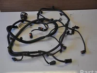 Peugeot 9819031180 508 II 2019 Harness Park assist