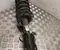 Ford LX61-18045-SBE / LX6118045SBE Kuga III 2025 suspension strut, complete Right Front - Image 3