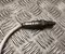Ford PZ11-9Y460-DA, PU5A-5M229-AA / PZ119Y460DA, PU5A5M229AA Kuga III 2025 Lambda Sensor - Image 3