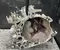 Gebrauchtes Original Peugeot 2231V1 BOXER Kasten 2014 Schaltgetriebe 6-Gang - Bild 1