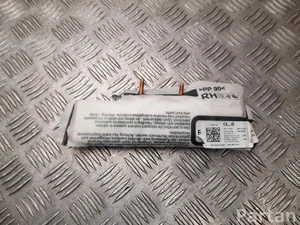 Volkswagen 3G0 880 442 E / 3G0880442E PASSAT Variant (3G5) 2021 Side Airbag Right